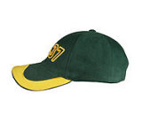 Baseball Caps - DC37