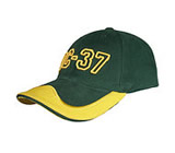 Baseball Caps - DC37