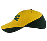 Baseball Caps - DC91